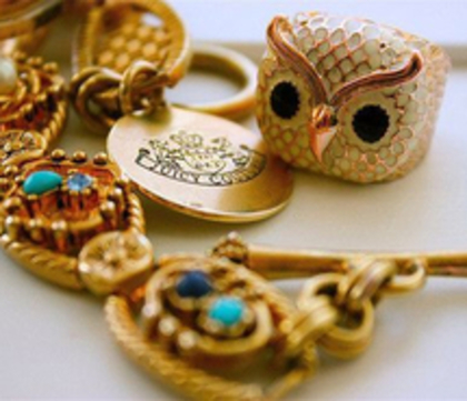accessories-juicy-couture-owl-192154