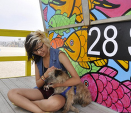 beach-dog-girl-glasses-pretty-192329