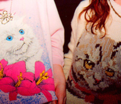 cat-sweater-cats-flowers-pink-sweater-192528