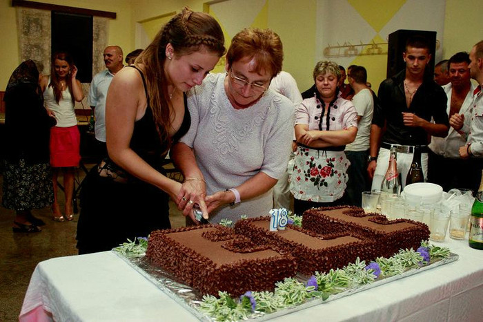 Elena cu nasa taie tortul - INTALNIRI IN FAMILIE