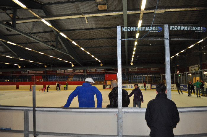 130 - La patinoar 2012