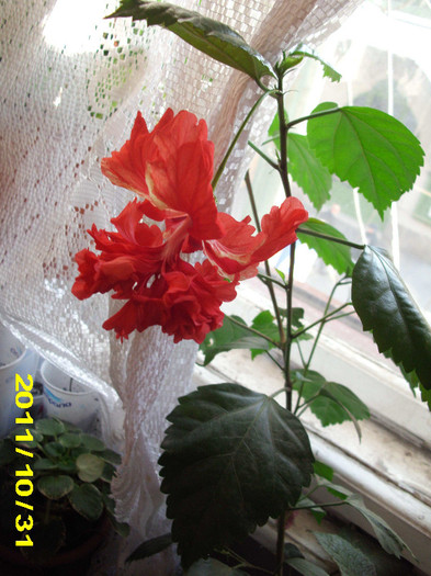 Picture 003