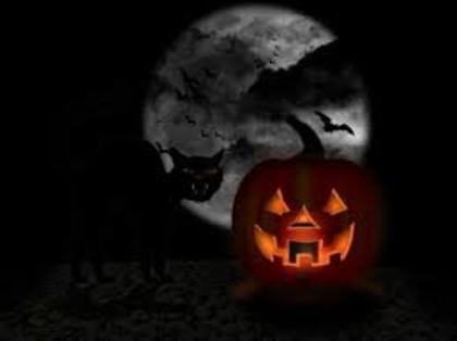 images - halloween