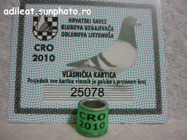 CROATIA-2010 - CROATIA-CRO-ring collection