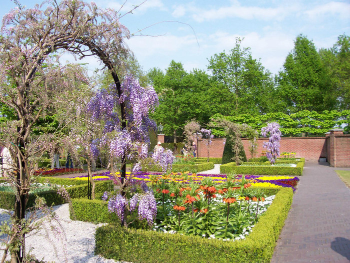 100_3250 - KEUKENHOF Olanda