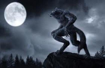 images (6); LUNA PLINA 2
