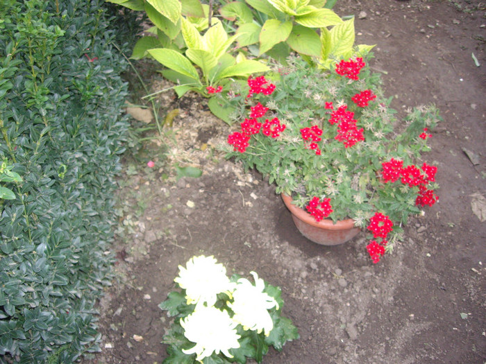 IMGP0852