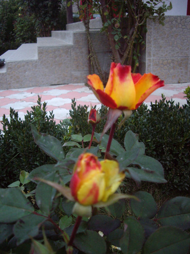 IMGP0861