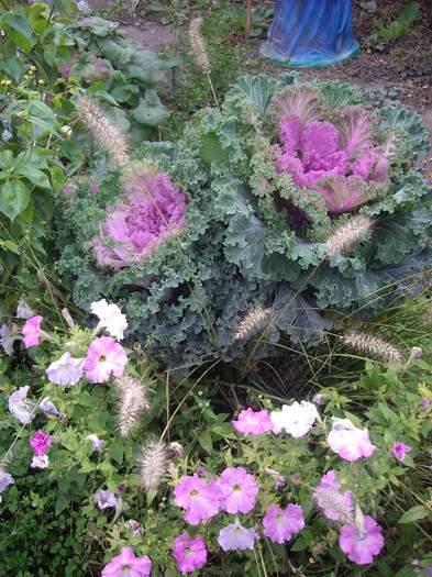 IMGP0880