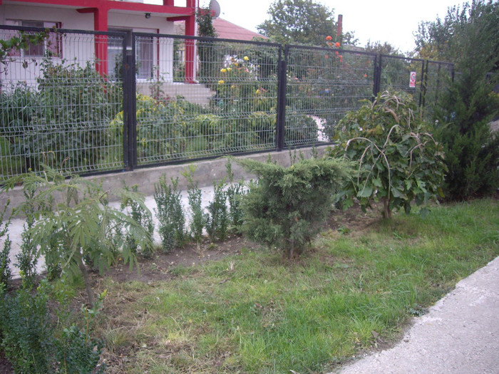 IMGP0888