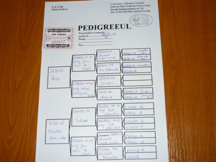 P1040558 - Pedigree