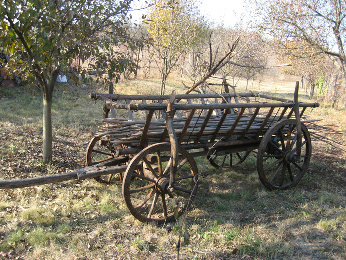 Car tras de vaci - 4 CARUTE SI OBIECTE VECHI