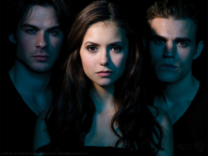 The Vampire Diaries (2) - The Vampire Diaries