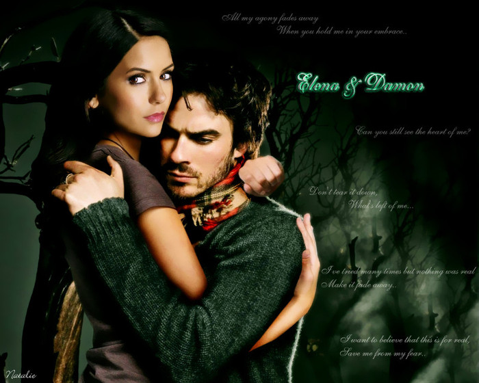 The Vampire Diaries (14) - The Vampire Diaries