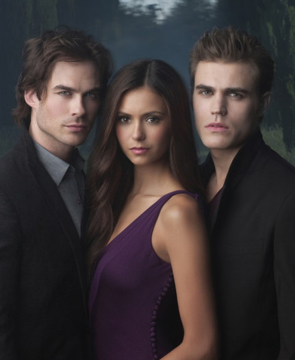 The Vampire Diaries (8) - The Vampire Diaries