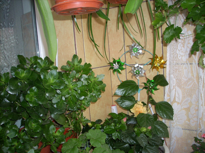 Photo 001