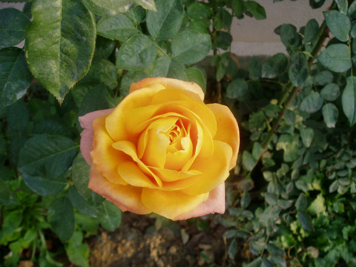 PB020005