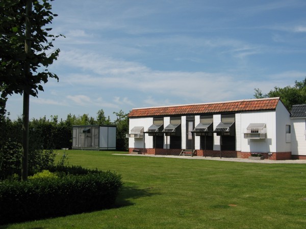 loft6 - poze porumbei cresctori din afara