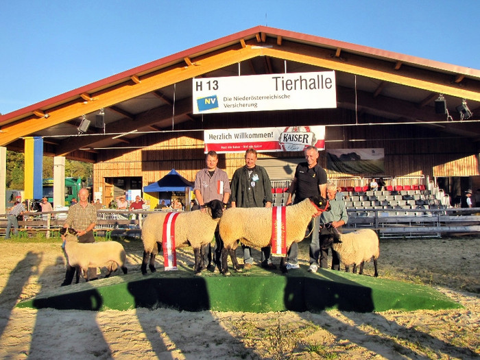 Bundessieger-campionul austriei