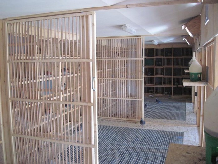 FCPR-Ilfov-Cazacu-Alex-5-iunie-2011-foto-27