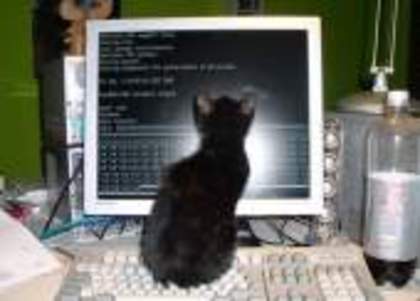 02330790011320541754379c69f38e96248737125