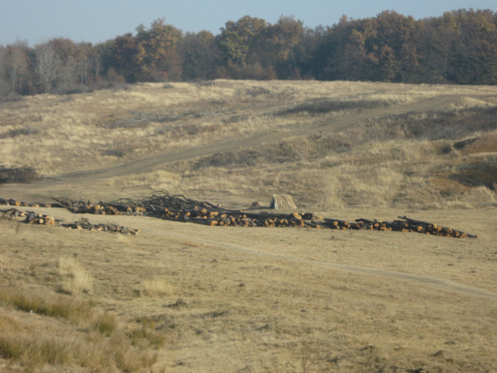 AA 143 - 000 SIBIU- BLAJ
