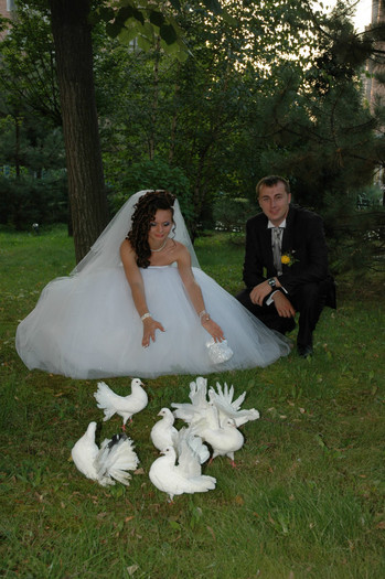DSC_0407 - Porumbeii  nunti