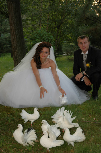 DSC_0408 - Porumbeii  nunti