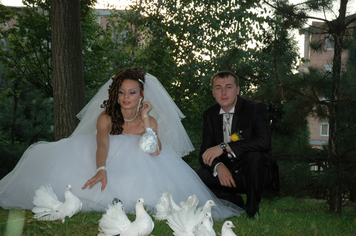 DSC_0412 - Porumbeii  nunti