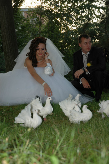 DSC_0413 - Porumbeii  nunti