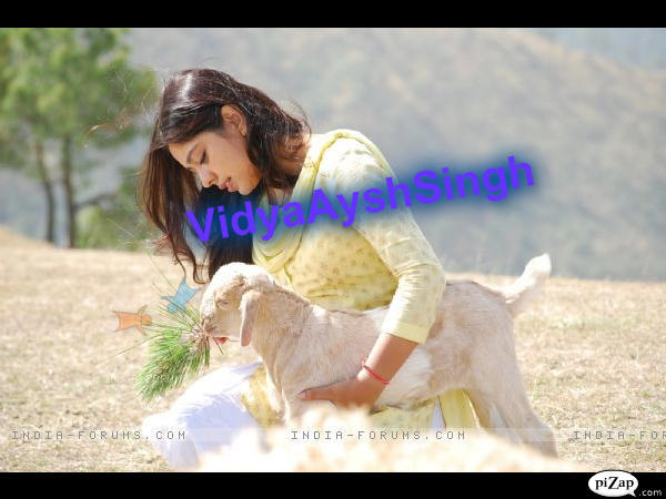 VidyaAyshSingh