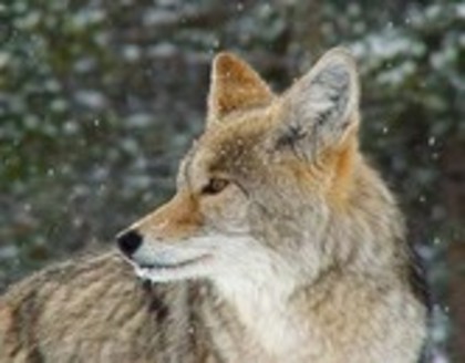 13NYRN7HK8Z12XHJMG7TH7OAT