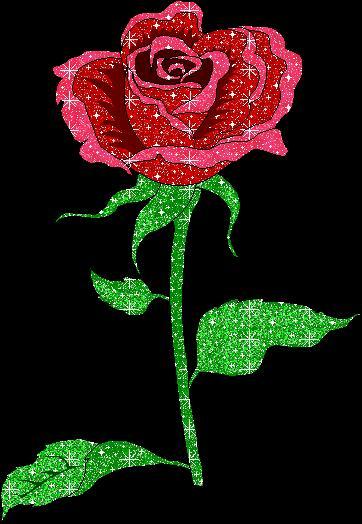 glitterrose_1142825940 - poze trandafiri