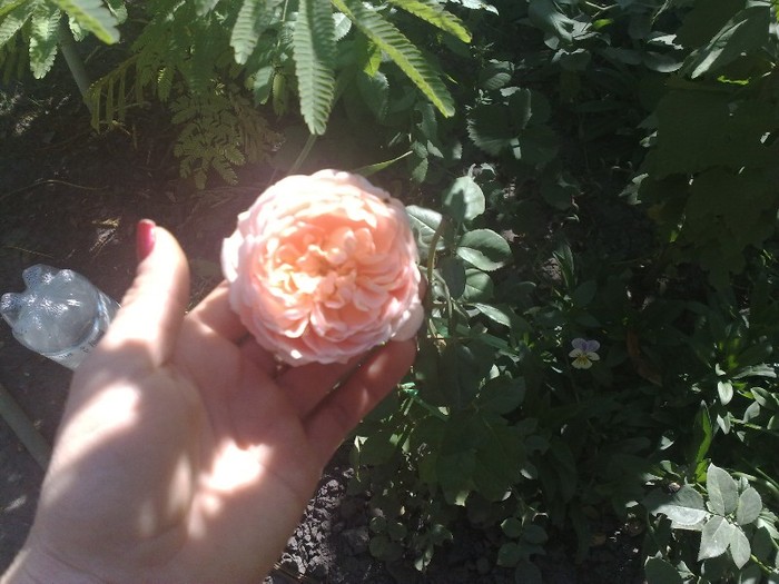 04102011 - Abraham Darby