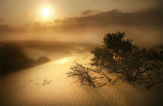 sunrise_photography_1