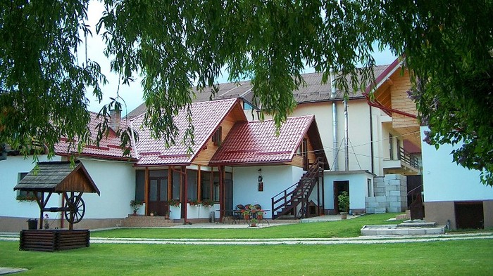 11. Curtea interioara - MOIECIU - casa-curtea-gradina-imprejurimi