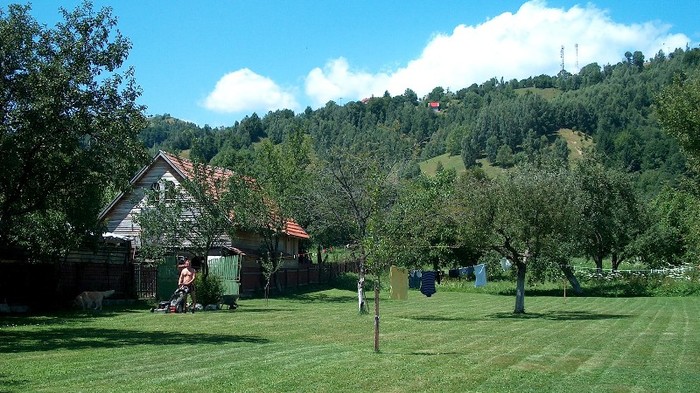 27. In gradina - MOIECIU - casa-curtea-gradina-imprejurimi