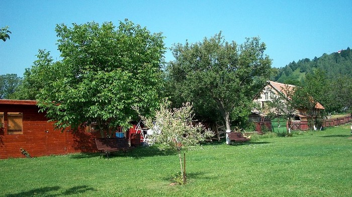 28. Iunie 2010. 2 - MOIECIU - casa-curtea-gradina-imprejurimi