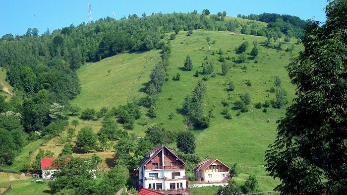 31. Dealu Godeanu din fundul gradinii-Iunie 2010. 5 - MOIECIU - casa-curtea-gradina-imprejurimi