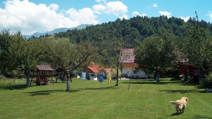 39. Vedere din spatele gradinii