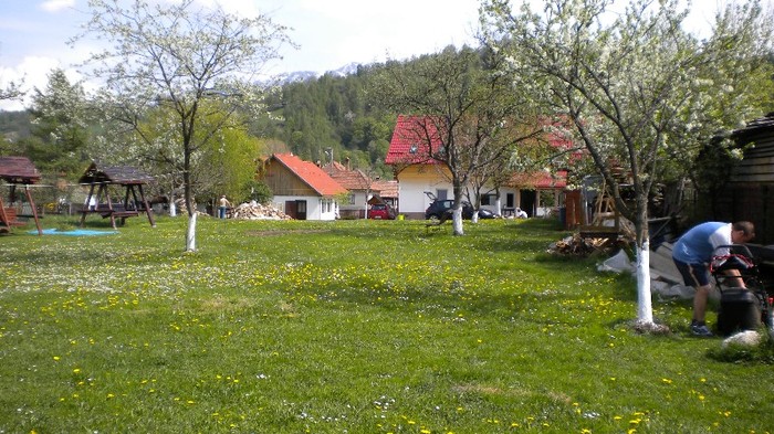 Munci de primavara 1 - MOIECIU - casa-curtea-gradina-imprejurimi