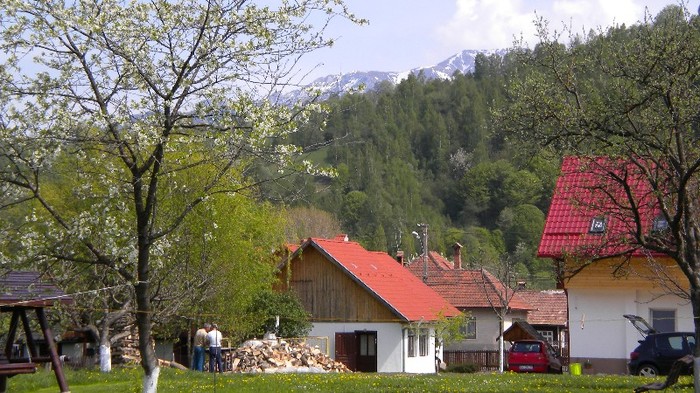 Munci de primavara 2 - MOIECIU - casa-curtea-gradina-imprejurimi