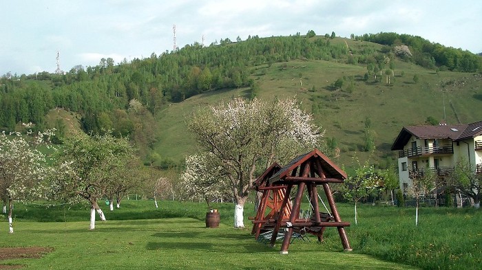 Primavara la Moe.2 - MOIECIU - casa-curtea-gradina-imprejurimi