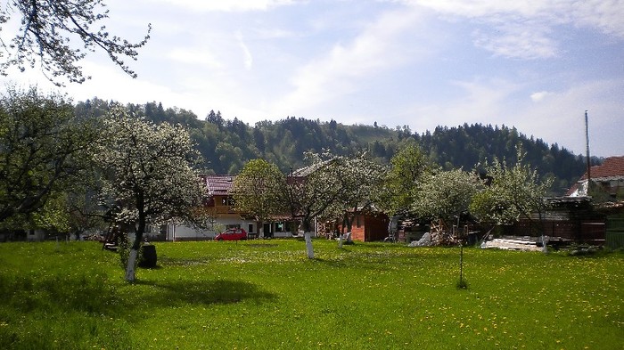 Primavara la Moieciu 1.ac - MOIECIU - casa-curtea-gradina-imprejurimi
