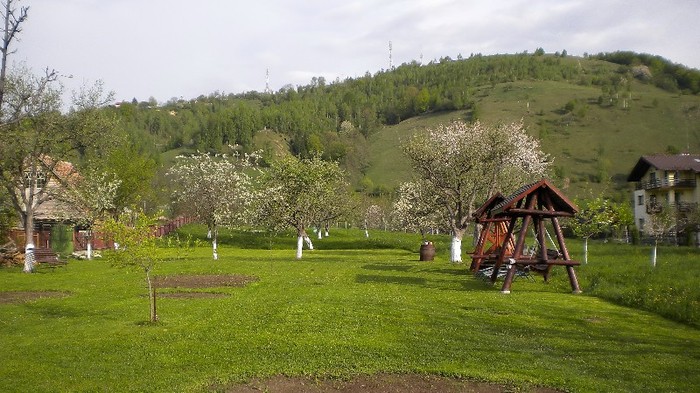 Primavara la Moieciu 3.ac - MOIECIU - casa-curtea-gradina-imprejurimi