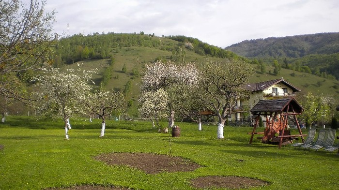 Primavara la Moieciu 4.ac - MOIECIU - casa-curtea-gradina-imprejurimi