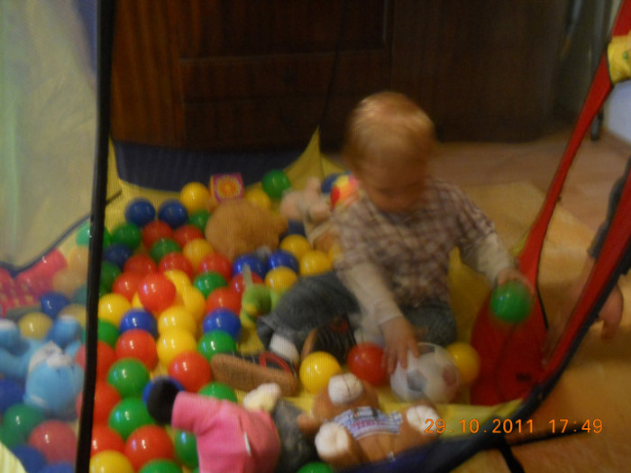 Marc Thomas aniversare29octombrie 2011 031; Mai bine ma intorc in castel;
