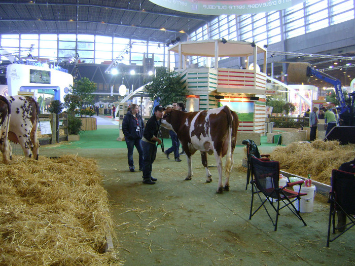 DSC02212 - Expo Paris 2011