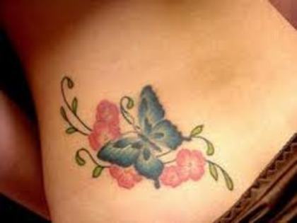 images (14)