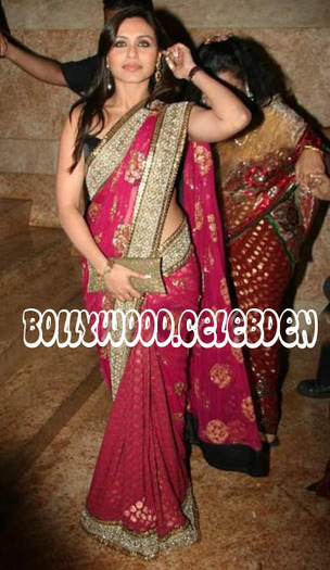 IMG_1069 - Rani Mukherjee-in saree